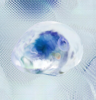 ai-transformation-reveal-2